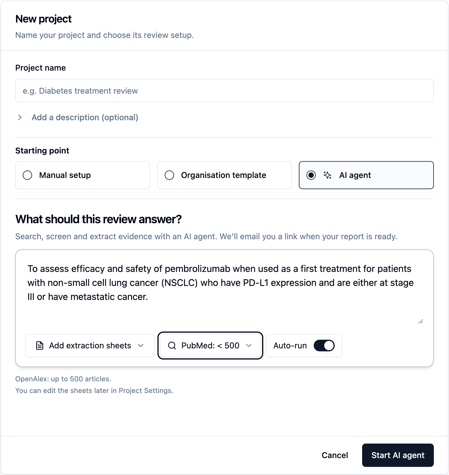 New project setup page with AI agent starting point and auto-run toggle